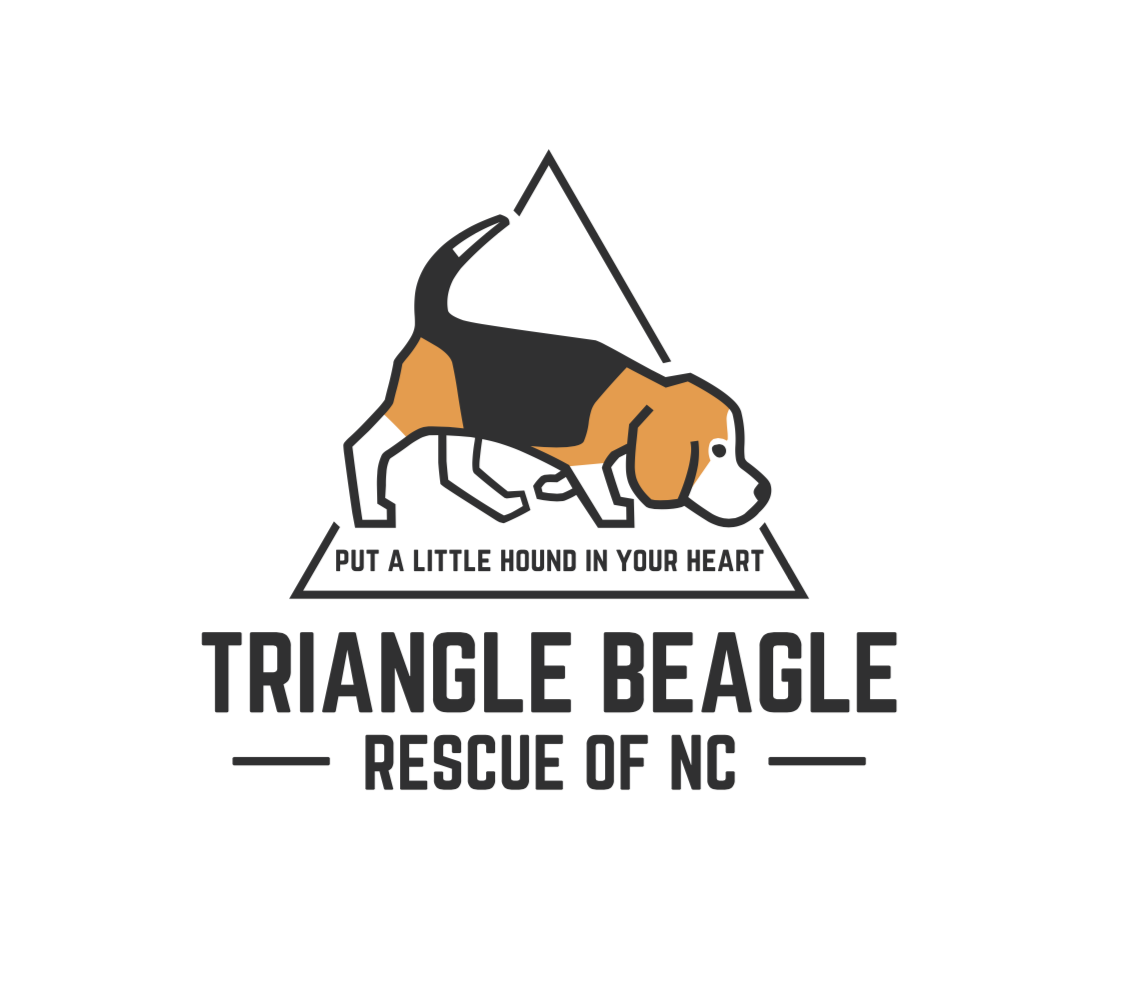 triangle beagle rescue logo