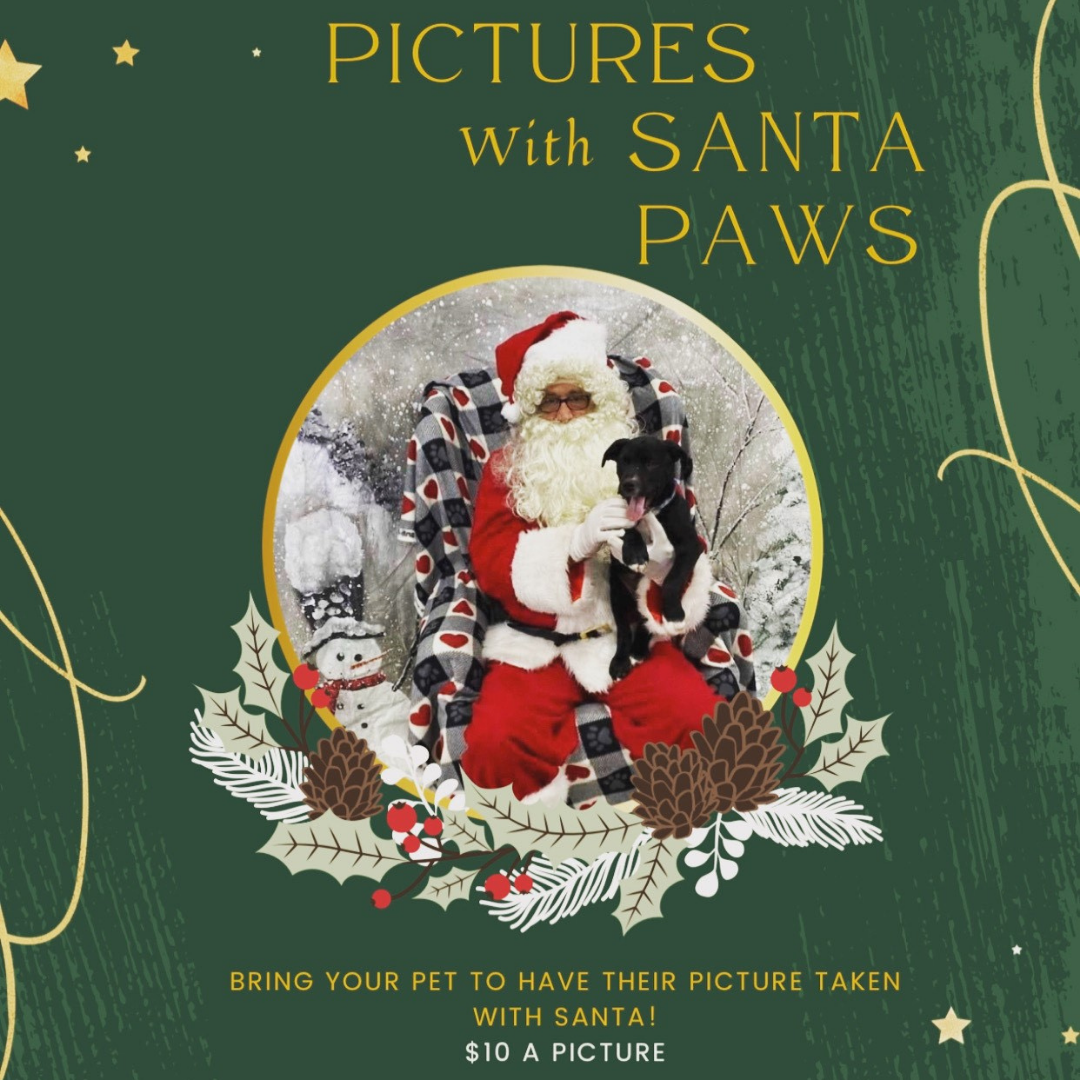 pawfect match