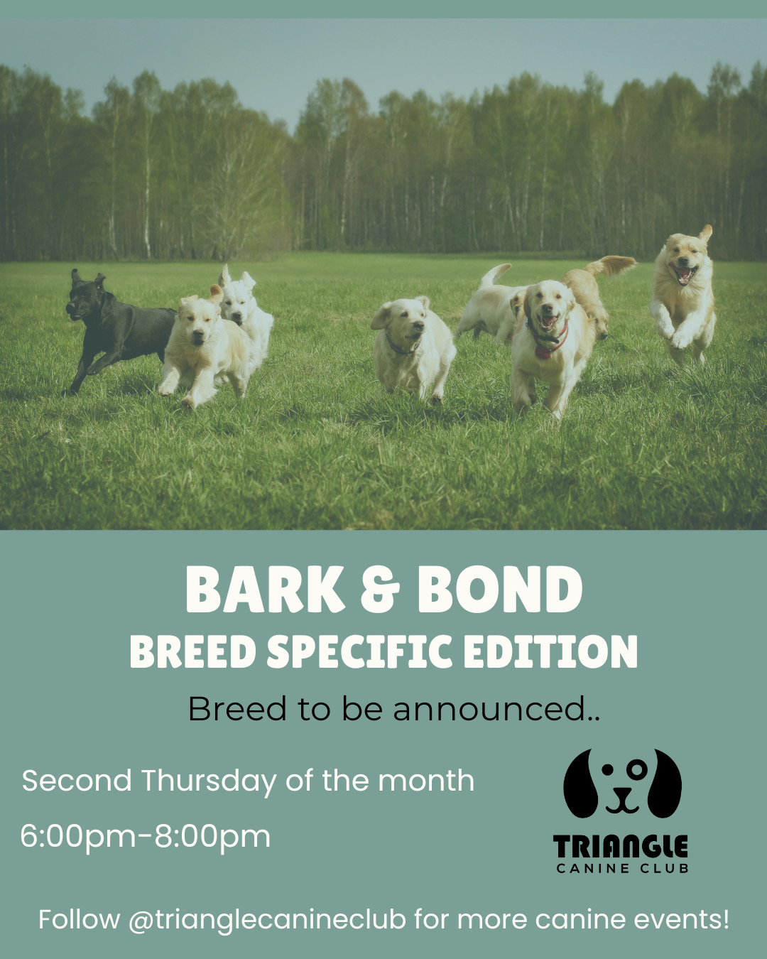Bark & Bond Social: Special Breed Spotlight!